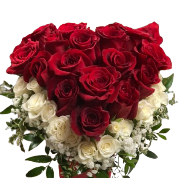Red and White Rose Heart