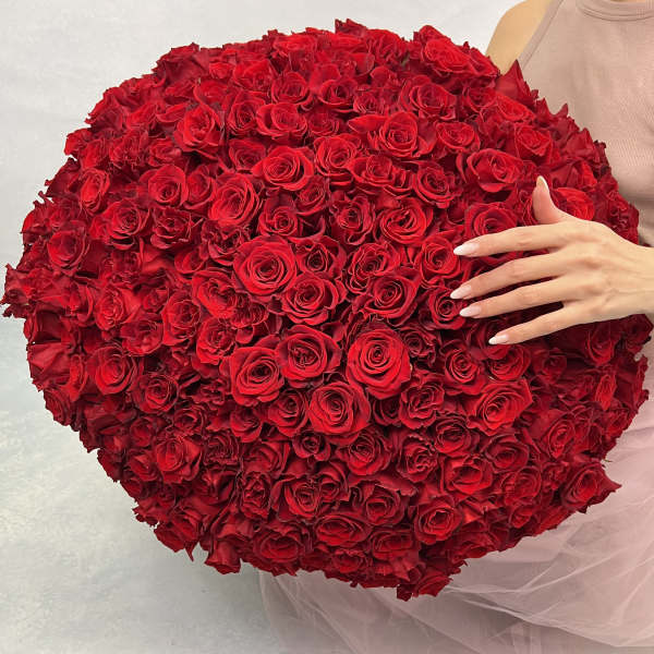 Large round bouquet of tightly packed red roses with a hand resting on top