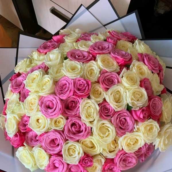 Bouquet of pink and cream roses wrapped in black-edged paper