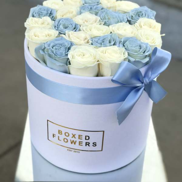 25 rose white and blue rose box