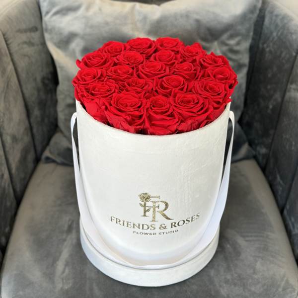 Red roses arranged in a white round hat box