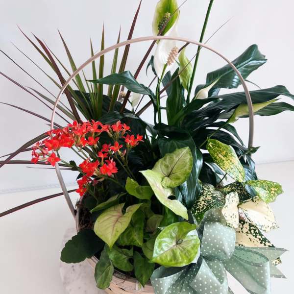 Basket arrangement with red flowers, white calla lilies, and assorted foliage