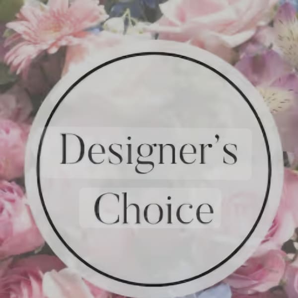Designers Choice Allstar
