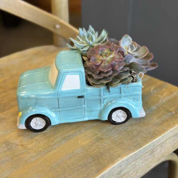 Succulents arranged in a turquoise ceramic truck planter