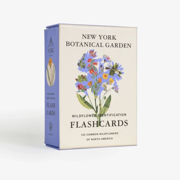 New York Botanical Garden Wildflower Id Flashcards