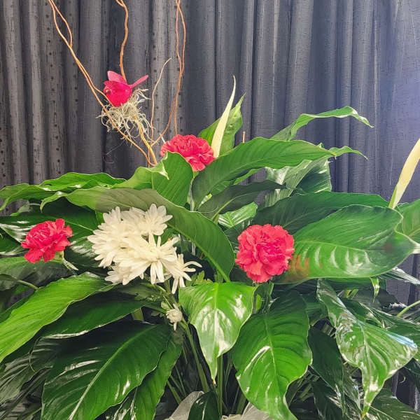Adorned Peace lily