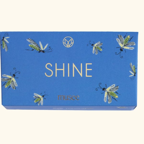 Blue gift box with butterfly illustrations and the word SHINE
