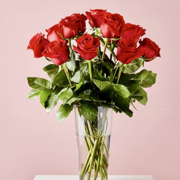 Classic long stemmed red roses