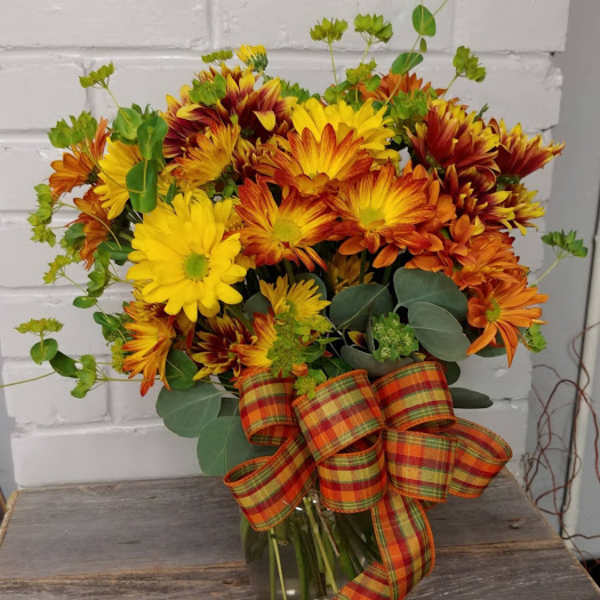 Fall Daisies