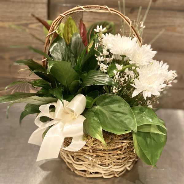 White flowers and green plants arranged in a wicker basket with a ribbon