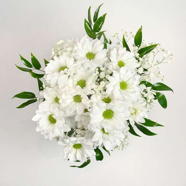 White daisy bouquet with green centers and small filler flowers