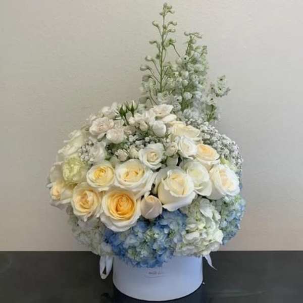 White and pale yellow rose arrangement in a round box with blue hydrangeas