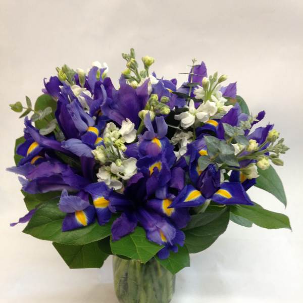 Purple iris bouquet in a glass vase with white accent flowers