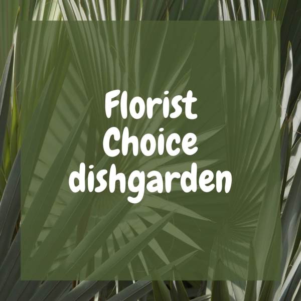 Graphic with the words 'Florist Choice dishgarden' over overlapping green palm fronds.