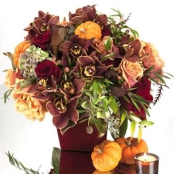 Autumn bouquet with orchids, roses, and small pumpkins in a burgundy vase