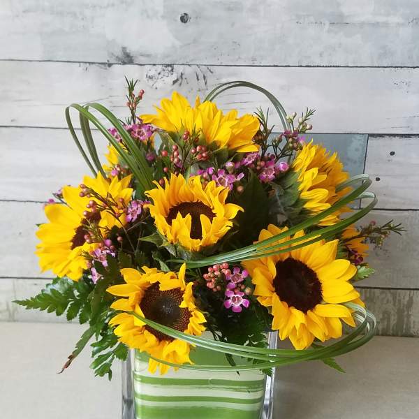 Sunflower arrangement in a square glass vase with pink filler flowers