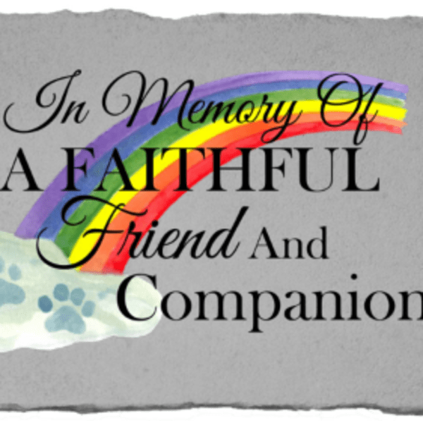 "In Memory of A Faithful Friend and Companion" - Printed Pawprint Rainbow Memorial Stone