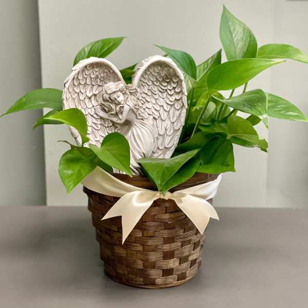 Potted green plant in a woven basket with a white angel ornament
