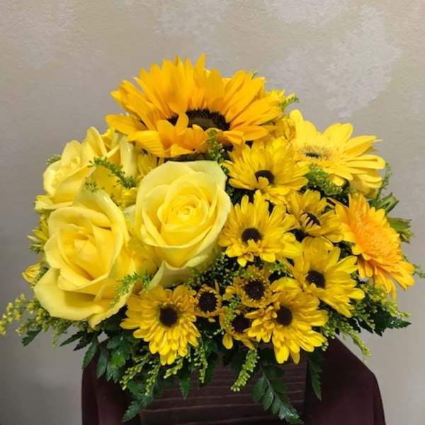 Yummy Yellows
