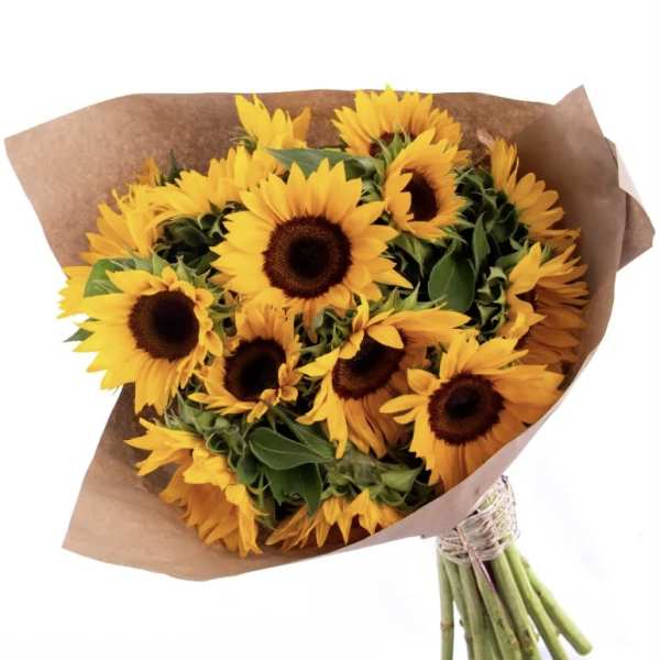 Bouquet of yellow sunflowers wrapped in brown paper