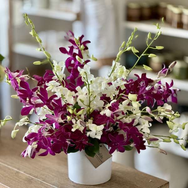 Purple and white orchid arrangement in a white vase