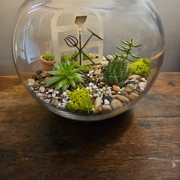 Glass terrarium with small succulents, pebbles, and moss