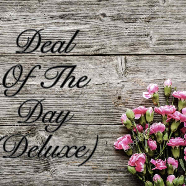 Pink carnations beside the words "Deal Of The Day" on a wood background