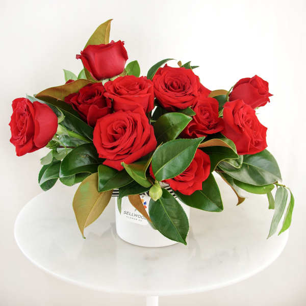 Red roses arranged in a white container with glossy leaves