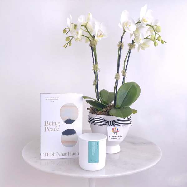 White orchids in a striped pot with a book and candle beside it