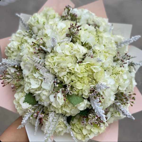 Bouquet of pale green and white hydrangeas with small filler flowers