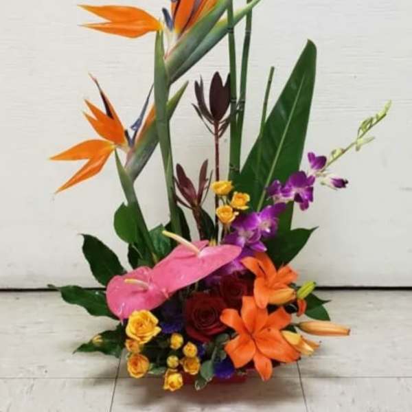 Tropical flower arrangement with orange bird-of-paradise and orchids