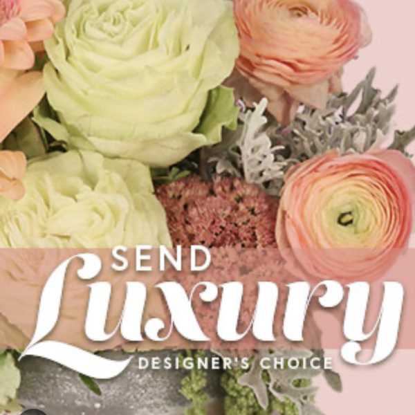 Luxury Designer's Choice