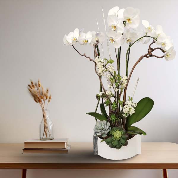 White orchid arrangement in a white container with succulents