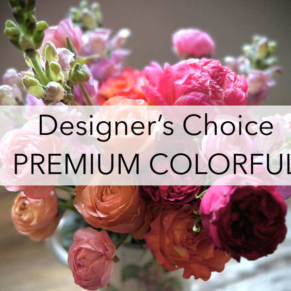 Premium DC Colorful $200-$300