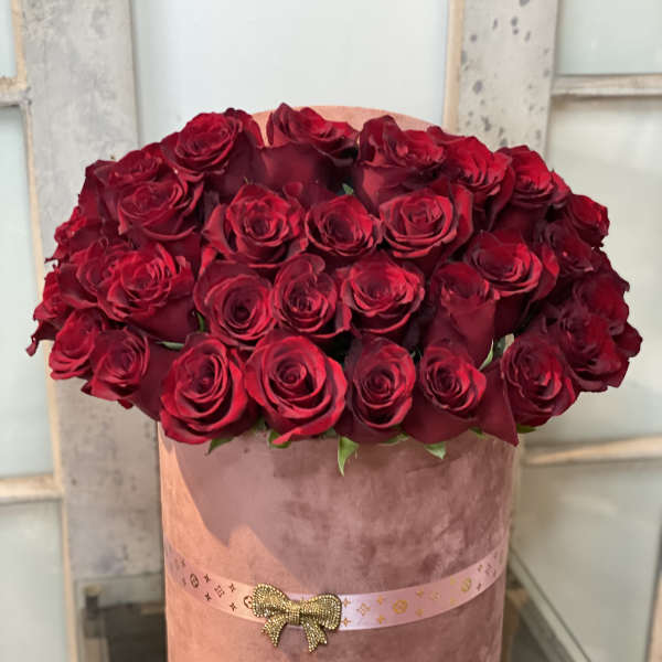 Velvet Roses