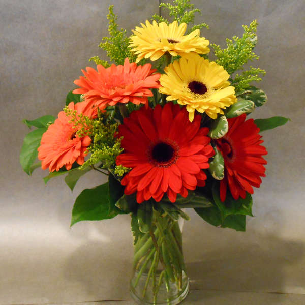 Bouquet of red, coral, and yellow gerbera daisies in a clear glass vase