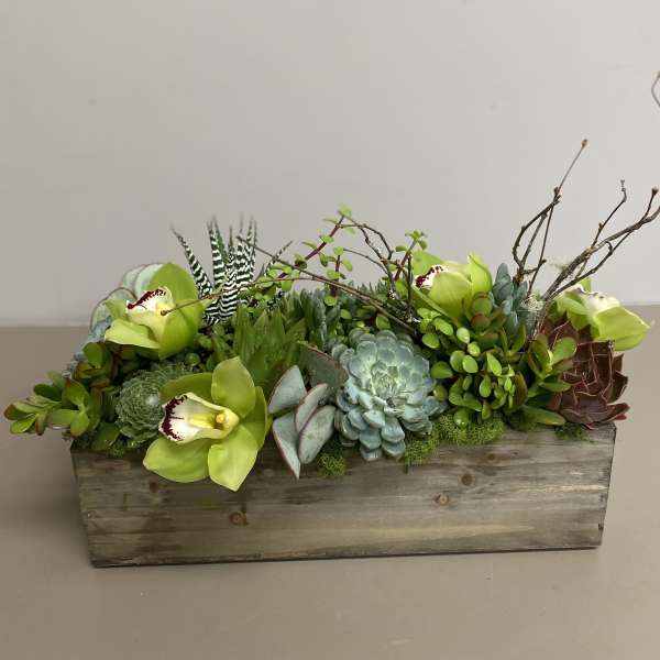 Low wooden box planter filled with assorted succulents and green orchids with branches.