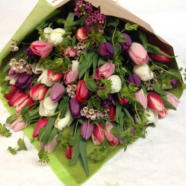 Bouquet of pink, purple, and white tulips wrapped in paper