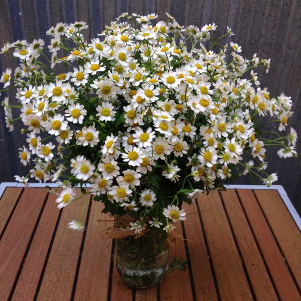 Loose bouquet of small white and yellow daisies arranged in a clear glass jar on a wooden table