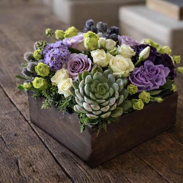 Purple and cream roses with a succulent in a wooden box