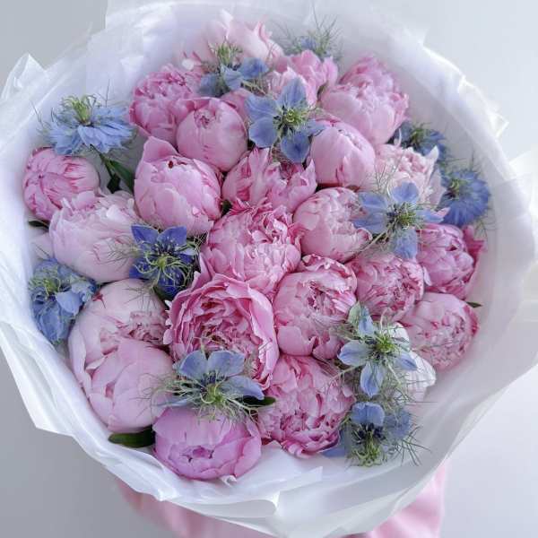 Bouquet of pink peonies with small blue flowers wrapped in white paper