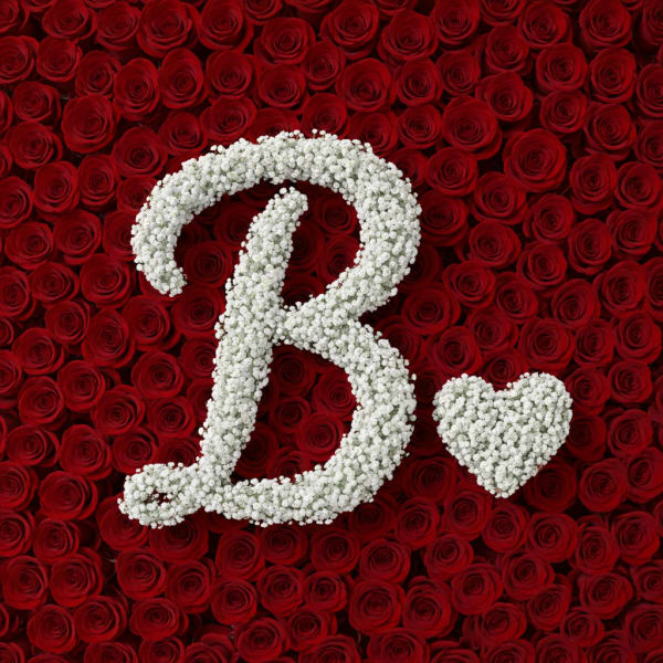 Baby's Breath Letter - B