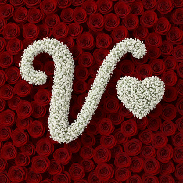 Baby's Breath Letter - V