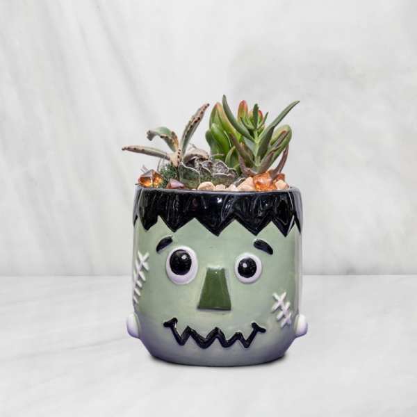 Succulent arrangement in a Frankenstein face planter