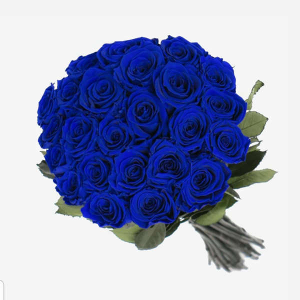 Blue Rose's