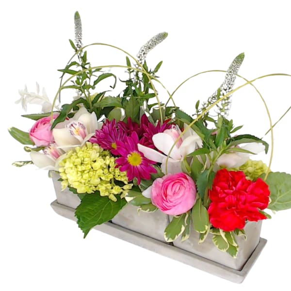 Mixed pink, white, and red flowers in a rectangular container