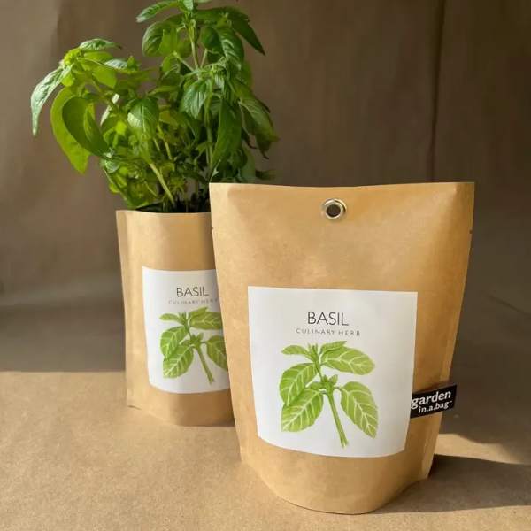 Garden in a bag, Basil