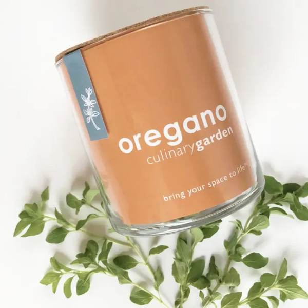 Culinary Garden- Oregano