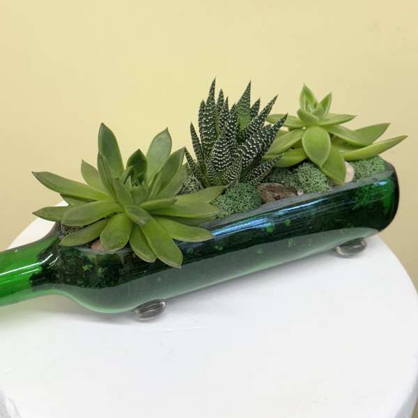Succulents arranged in a green glass bottle planter