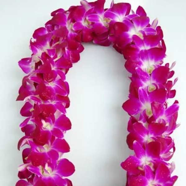 Graduation lei 1